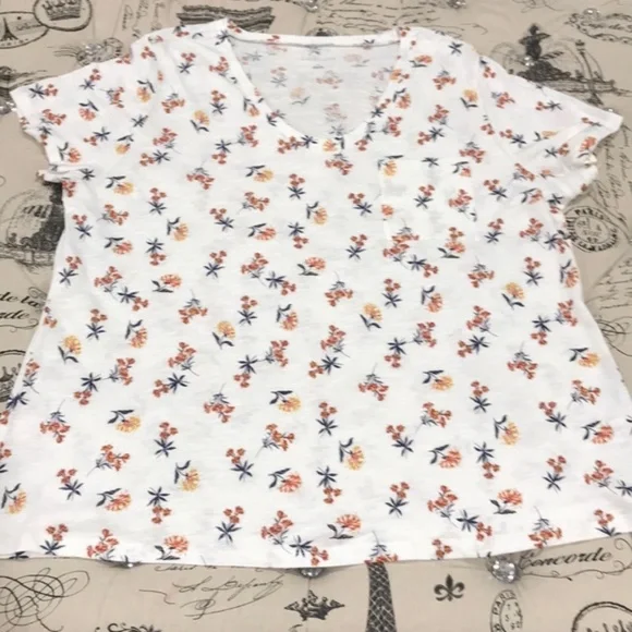 CASLON Rounded V-Neck Tee(PLUS SIZE) - Picture 6 of 7